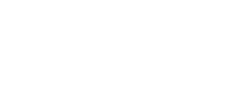 Shoeviva - logo